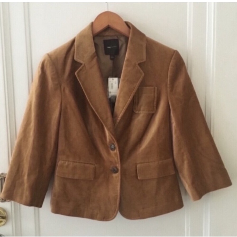 The Limited Velvet Blazer Jacket Size Small